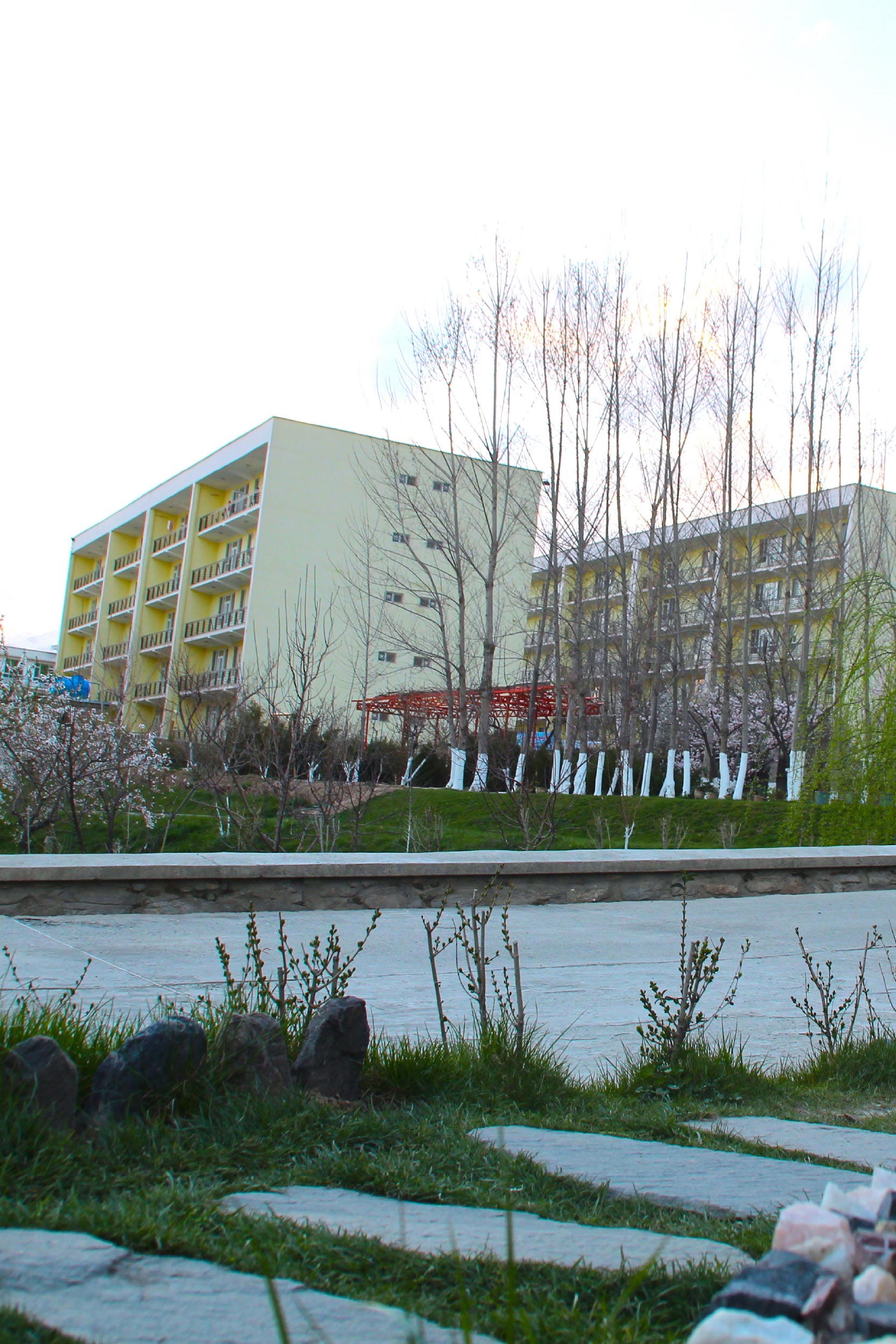 Mora photo Web-06