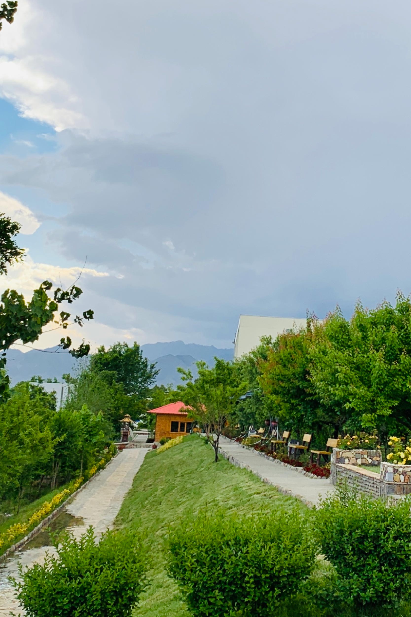 Mora photo Web-10