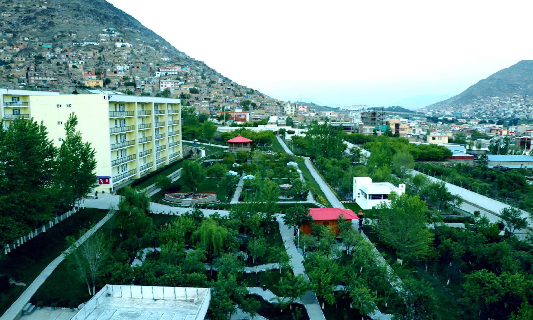 Moraa photo Web-12