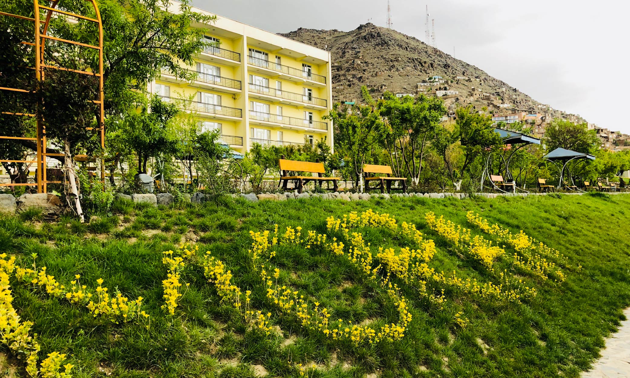 Moraa photo Web-17