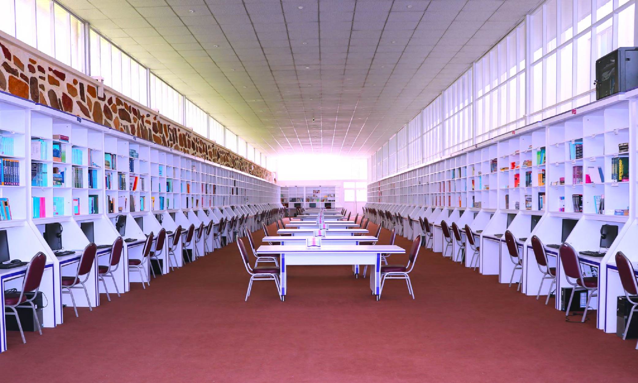 Moraa photo Web-22