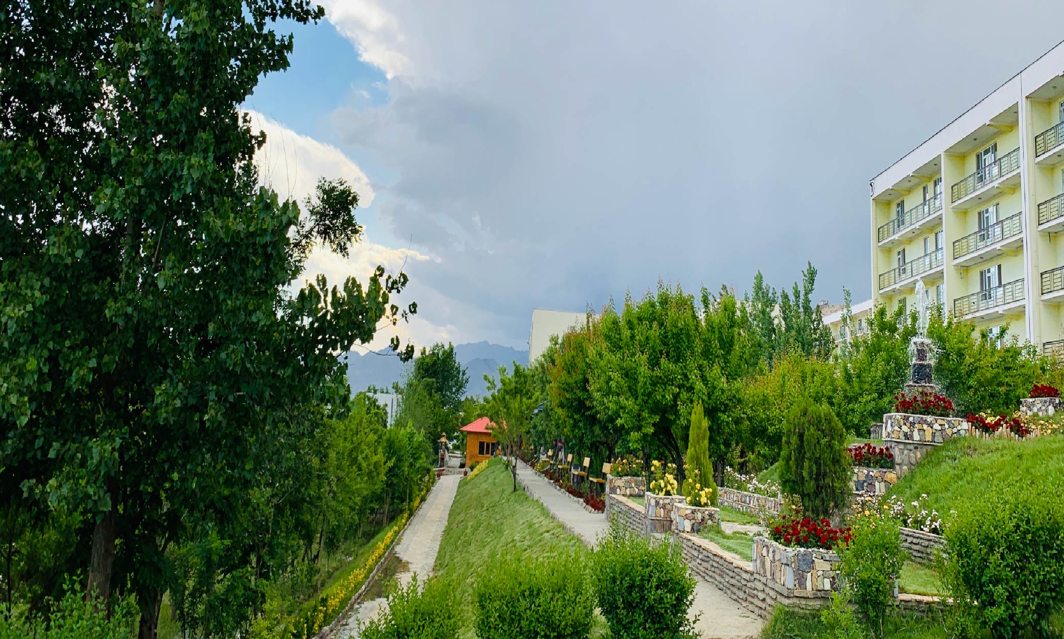 Moraa photo Web-24
